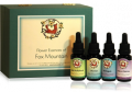 Everyday Essences and 100 Day Process Kit