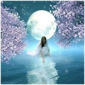 Lunar Intuition