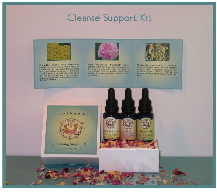 cleanse-support-ad.jpg