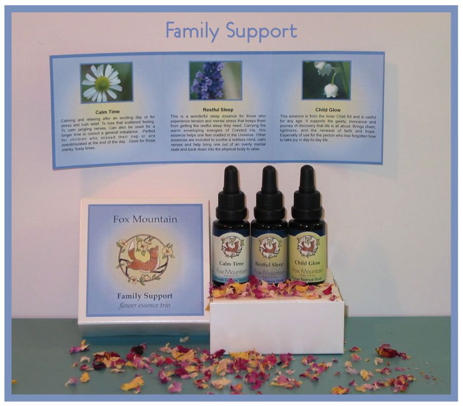 family-support-ad.jpg