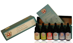 householdharmonykit-54565-zoom.png
