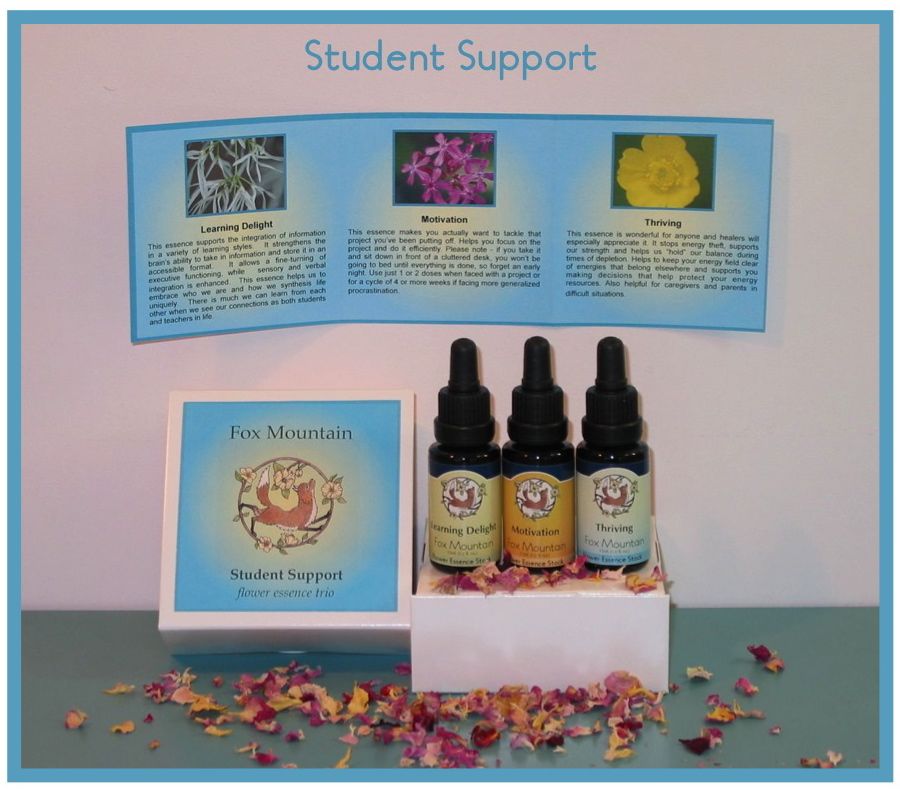 student-support-ad.jpg